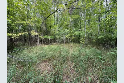 Tbd W Fork Road, Sandstone, MN 55072 - Photo 5
