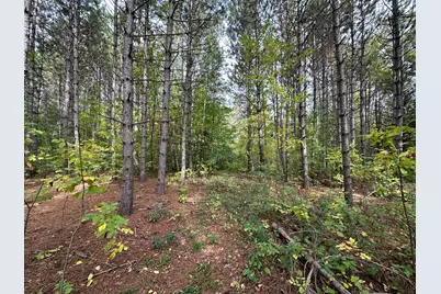 Tbd W Fork Road, Sandstone, MN 55072 - Photo 3
