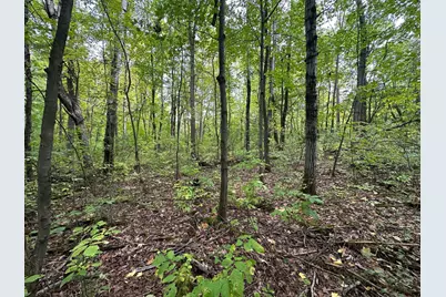 Tbd W Fork Road, Sandstone, MN 55072 - Photo 9