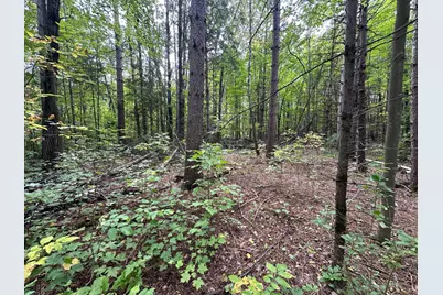 Tbd W Fork Road, Sandstone, MN 55072 - Photo 11