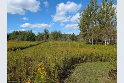 2547 County Road 103, Barnum, MN 55707 - Photo 9