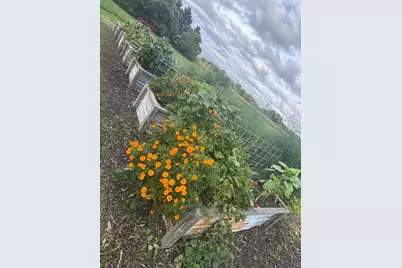 5978 Havana Road, Owatonna, MN 55060 - Photo 43