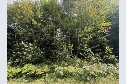 Tbd Xxxx Johnson Road, Floodwood, MN 55736 - Photo 11