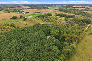 2971 State Road 64, Glenwood City, WI 54013 - Photo 27
