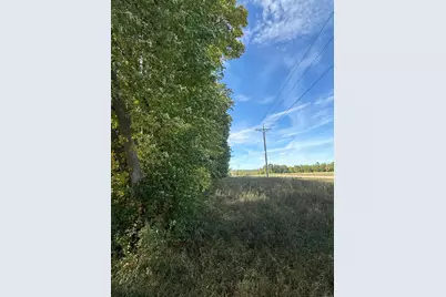 15095 400th Street, Eagle Bend, MN 56446 - Photo 5