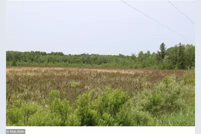 Xxxxx Sandhill Crane Ln, Pine City, MN 55063 - Photo 5