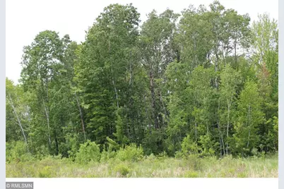Xxxxx Sandhill Crane Ln, Pine City, MN 55063 - Photo 3