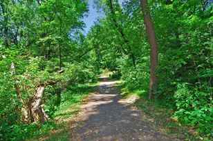 4636 Cedar Lk Rd S, Saint Louis Park, MN 55416 - Photo 47