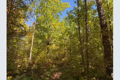 Tbd- 269th Avenue, Laporte, MN 56461 - Photo 29