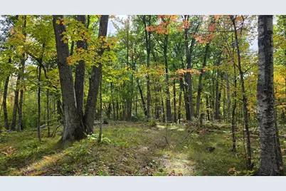 57391 Duncan Road, Sandstone, MN 55072 - Photo 13
