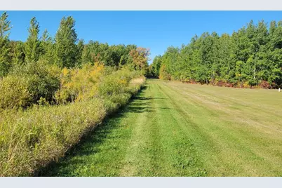26317 370th Avenue, Roseau, MN 56751 - Photo 5