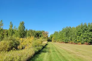 26317 370th Ave, Roseau, MN 56751 - Photo 5