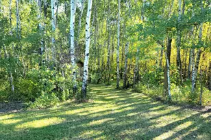26317 370th Ave, Roseau, MN 56751 - Photo 9