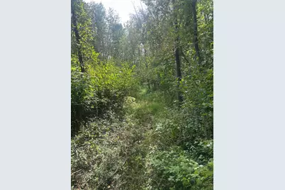 Tbd Stark Road, Harris, MN 55032 - Photo 19