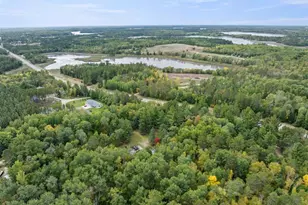21956 County 2, Nevis, MN 56467 - Photo 39