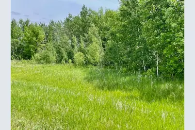 T134-R37 Sec.30    /  Hwy Hwy 67, Henning, MN 56551 - Photo 3