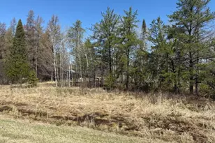6997 Hwy 21, Embarrass, MN 55732 - Photo 3