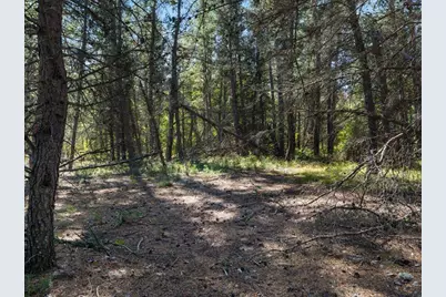 Tbd 96th Street SW, Motley, MN 56466 - Photo 41