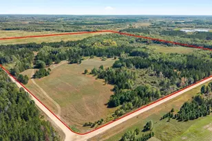 Tbd 96th Street SW, Motley, MN 56466 - Photo 1