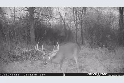 Tbd 400th Street, Bertha, MN 56437 - Photo 45