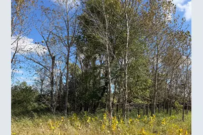 Tbd 400th Street, Bertha, MN 56437 - Photo 33