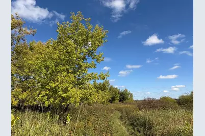 Tbd 400th Street, Bertha, MN 56437 - Photo 27