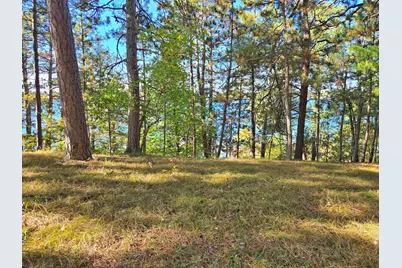 Tbd Ironwood Drive, Park Rapids, MN 56470 - Photo 9