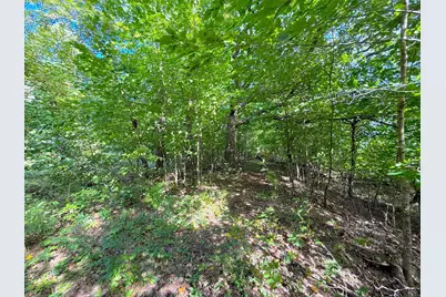 Lot 4 Blk 1 78th Street NW, South Haven, MN 55382 - Photo 15