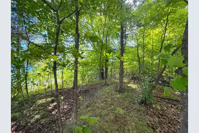 Lot 4 Blk 1 78th Street NW, South Haven, MN 55382 - Photo 7