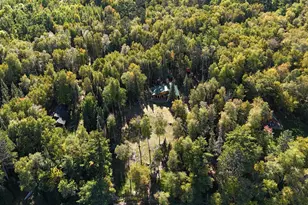 11381 Carlson Rd, Orr, MN 55771 - Photo 45