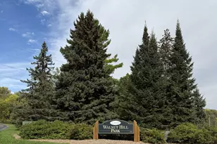 1142 Parkview Ln, Eagan, MN 55123 - Photo 63