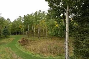 30780 Zims Ln, Grand Rapids, MN 55744 - Photo 37
