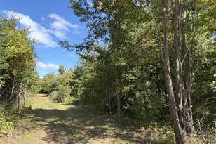 Xxx Bluebird Trail, Webster, WI 54893 - Photo 1