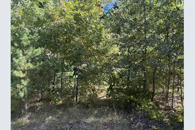 Xxx Bluebird Trail, Webster, WI 54893 - Photo 5