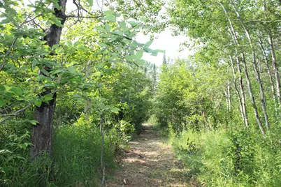 Lot 1 E Camp Amnicon Road, Superior, WI 54874 - Photo 13