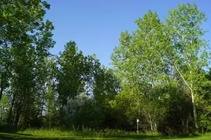 14318 316th Ave, Princeton, MN 55371 - Photo 29