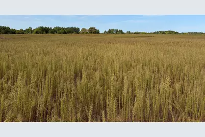Tbd (L2-Sm East) Yellowpine Court NW, Isanti, MN 55040 - Photo 1