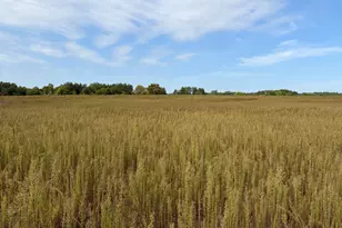 Tbd (L2-Sm East) Yellowpine Ct NW, Isanti, MN 55040 - Photo 1