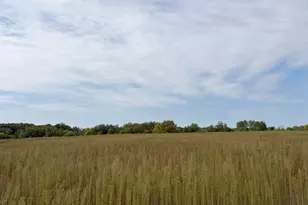 Tbd (L4-Sm East) Yellowpine Ct NW, Isanti, MN 55040 - Photo 1
