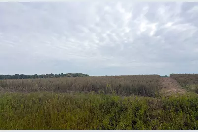 Tbd (L8-Sm East) Flamingo Street NW, Isanti, MN 55040 - Photo 3