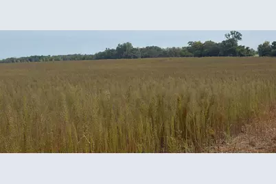 Tbd (L14-Sm East) Yellowpine Court NW, Isanti, MN 55040 - Photo 3