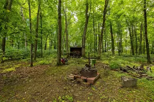 N7124 Arbor Ln, Durand, WI 54736 - Photo 45