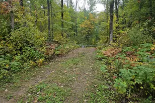 20012 Nature Trl, Ironton, MN 56455 - Photo 1
