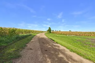 1255 40th St SE, Murdock, MN 56271 - Photo 53