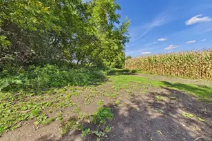 1255 40th St SE, Murdock, MN 56271 - Photo 45