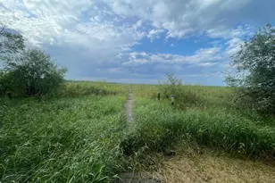 4716 Big Rice Lake Rd NE, Remer, MN 56672 - Photo 31