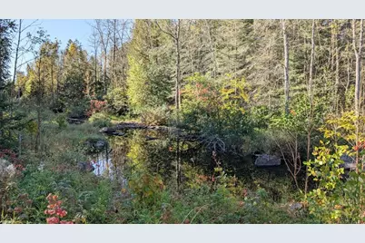 6800 Highway 53, Orr, MN 55771 - Photo 23