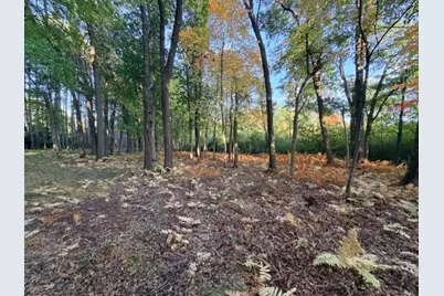 Xxxx 217th Avenue NE, Linwood Township, MN 55005 - Photo 13