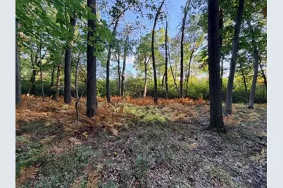 Xxxx 217th Avenue NE, Linwood Township, MN 55005 - Photo 19