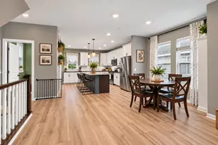 393 Rum River Wy, Anoka, MN 55303 - Photo 5
